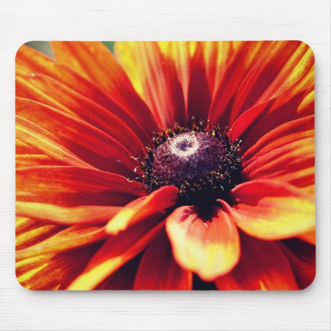 Tapis De Souris Orange Black Eyed Susan Daisy Flower (Devant)