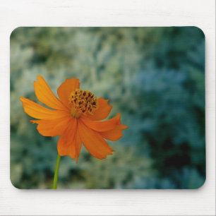 Tapis De Souris Orange Daisy
