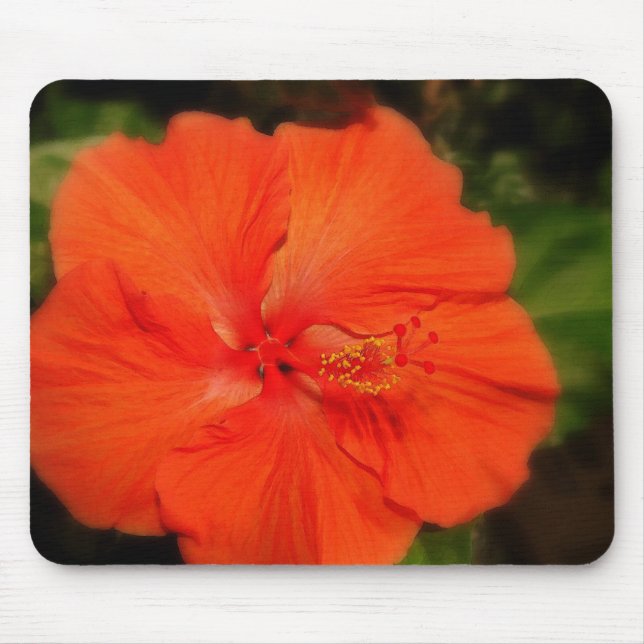 Tapis De Souris Orange Hibiscus Fleur Mousepad (Devant)