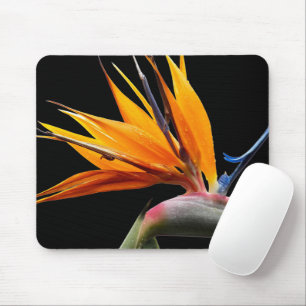 Tapis De Souris Orange Oiseau du Paradis Floral Plante