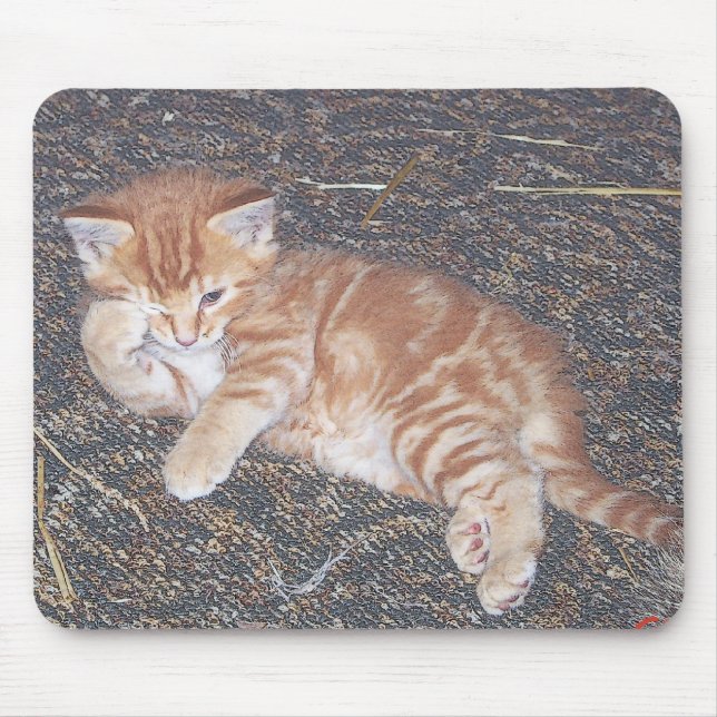 Tapis De Souris Orange Tabby Kitten (Devant)