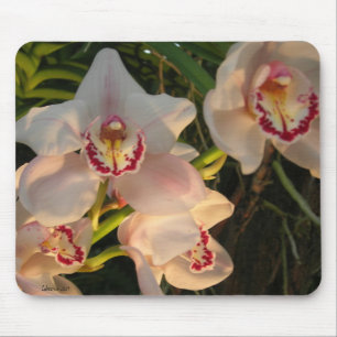 Tapis De Souris Orchidée