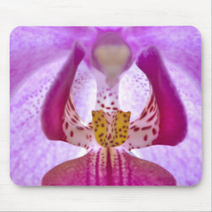 Tapis De Souris Orchidée