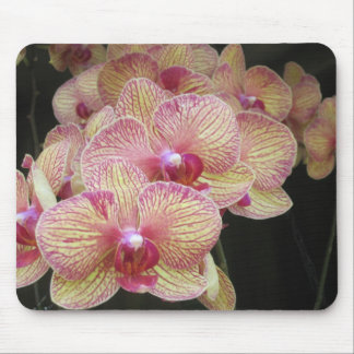Tapis De Souris Orchidée de mite rose et jaune Mousepad