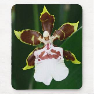 Tapis De Souris Orchidée de Zygopetalum