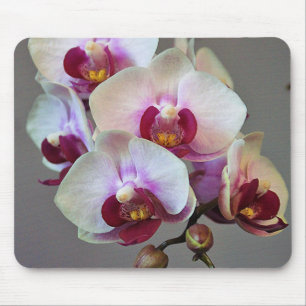 Tapis De Souris Orchidée miniature