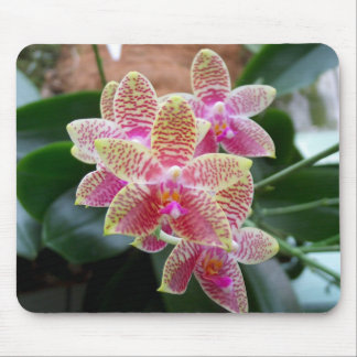 Tapis De Souris Orchidée Mousepad