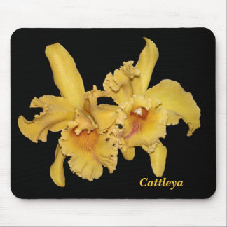 Tapis De Souris Orchidée Mousepad de Cattleya