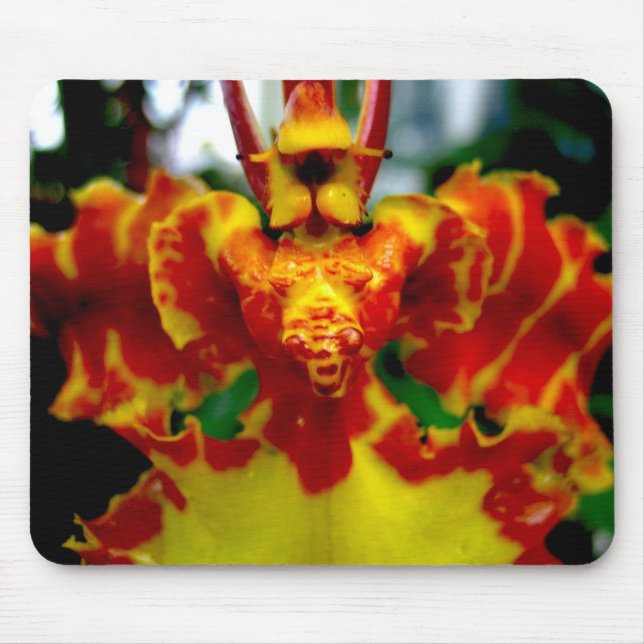 Tapis De Souris Orchidée Mousepad de Psychopsis (Devant)