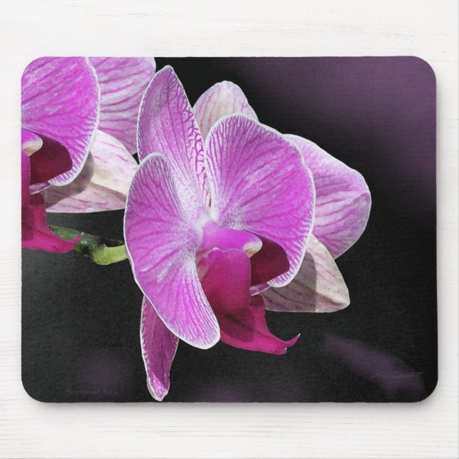 Tapis De Souris Orchidée Phalae Mousepad (Devant)