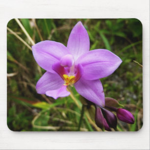 Tapis De Souris Orchidée sauvage violette Fleur tropicale