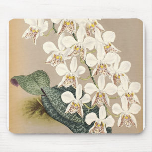 Tapis De Souris Orchidées