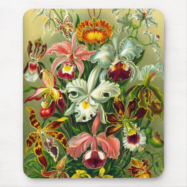Tapis De Souris Orchidées (Devant)