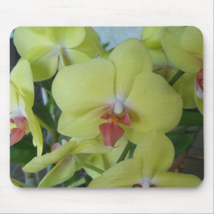 Tapis De Souris Orchidées jaunes