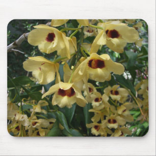 Tapis De Souris Orchidées Jaunes et Maroon Élégant Floral
