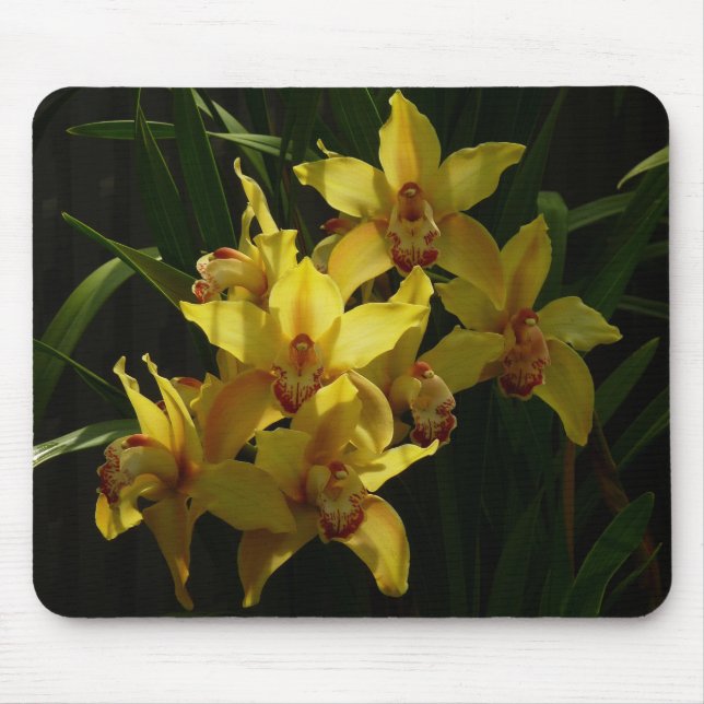 Tapis De Souris Orchidées Jaunes Sunlit Floral (Devant)