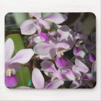 Tapis De Souris orchidées miniatures