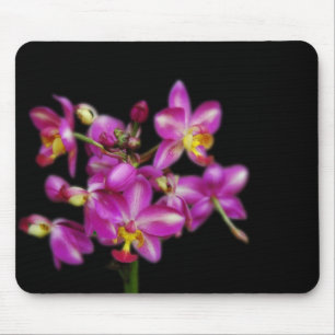 Tapis De Souris Orchidées pourpres sur l'arrière - plan noir