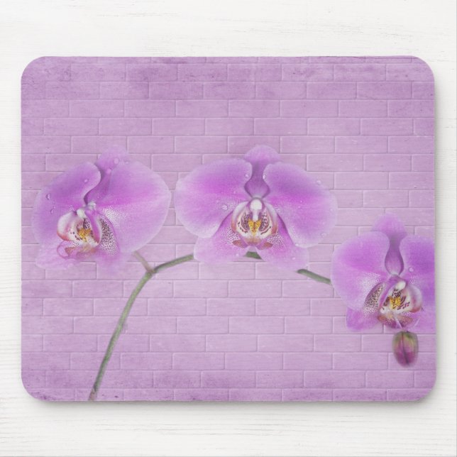 Tapis De Souris Orchidées roses (Devant)