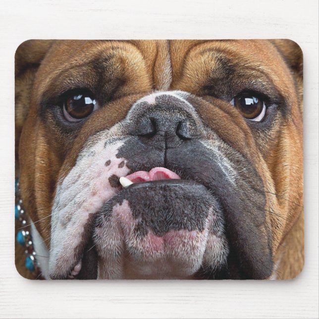 Tapis De Souris Oreillers à lancer de Bulldog anglais (Devant)