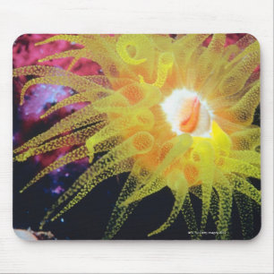 Tapis De Souris Organisme sous-marin