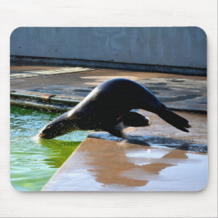 Tapis De Souris Otarie californienne plongée