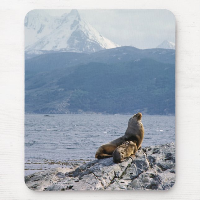 Tapis De Souris Otaries dans le canal de Beagle - Argentine (Devant)