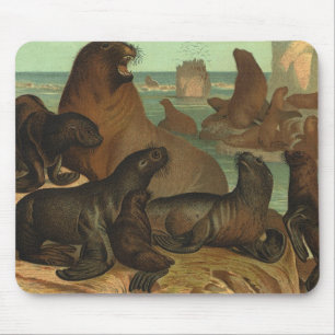 Tapis De Souris Otaries sur la plage, Animaux de la vie marine vin