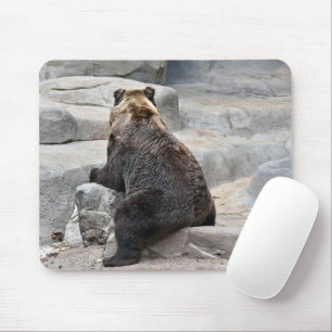 Tapis De Souris Ours assis sur un rocher