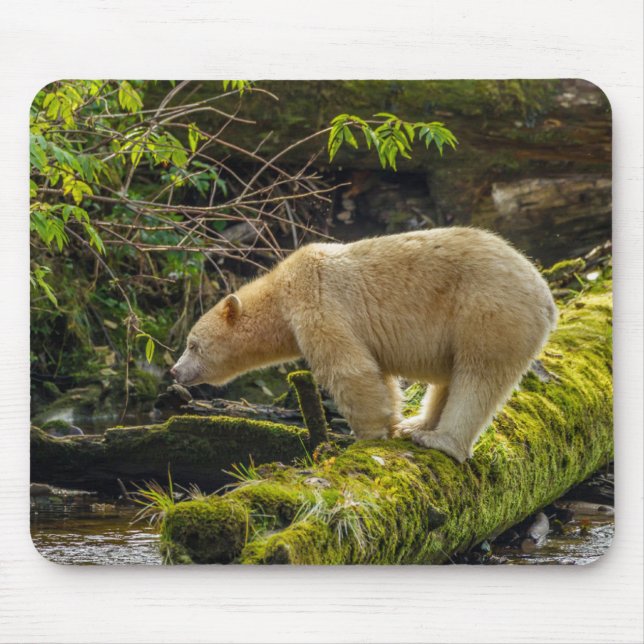 Tapis De Souris Ours blanc (Devant)