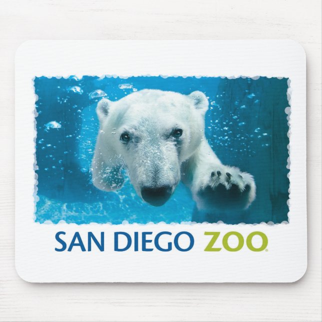 Tapis De Souris Ours blanc de zoo de San Diego (Devant)