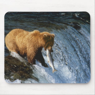 Tapis De Souris Ours brun d'Alaska attrapant du saumon à Brooks