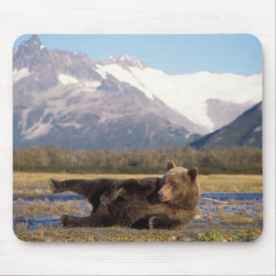 Tapis De Souris Ours brun, grizzly s'étirant sur le dos