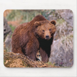 Tapis de souris ours brun magnifique
