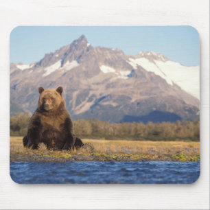 Tapis De Souris ours brun, Ursus arctos, grizzly, Ursus