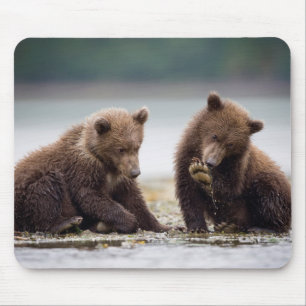Tapis De Souris Ours Bruns Jeunes au Bord du Ruisseau