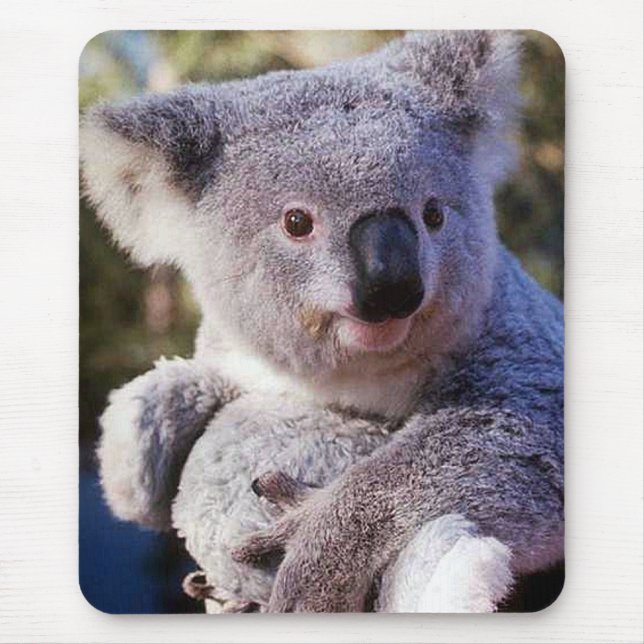 Tapis De Souris Ours De Koala Tenant Un Ours De Koala (Devant)