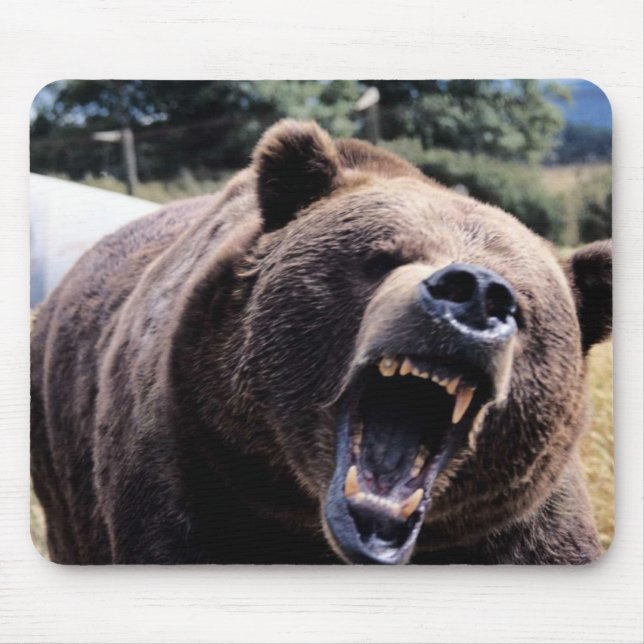 Tapis De Souris Ours de nounours d'hurlement (Devant)