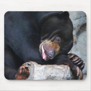 Tapis De Souris Ours endormi