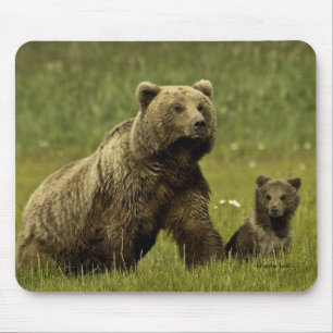 Tapis De Souris Ours et petit animal de maman