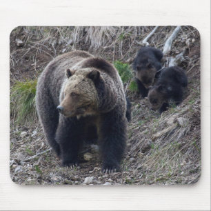 Tapis De Souris Ours gris avec CUB Mousepad