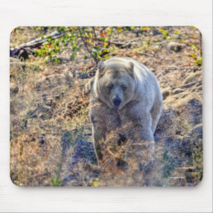 Tapis De Souris Ours Kermode Rare (Ours Esprit) Photo Faune
