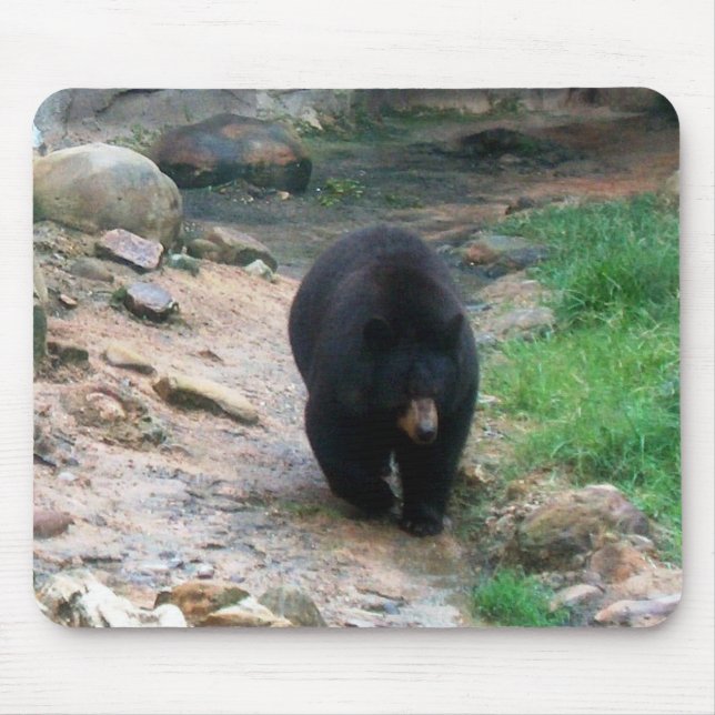 Tapis De Souris Ours noir américain (Devant)