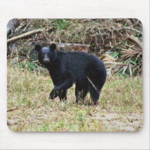 Tapis De Souris Ours noir de Floride