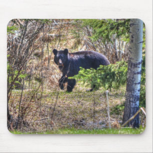 Tapis De Souris Ours noir sauvage et arbres Photo de la faune