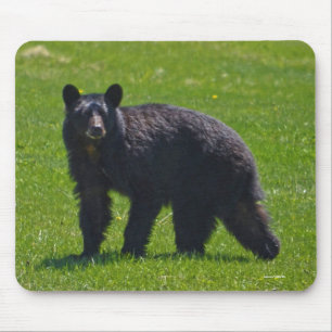 Tapis De Souris Ours noir sauvage et faune de l'herbe