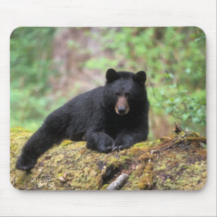 Tapis De Souris Ours noir sur une bille de vieille forêt dans la