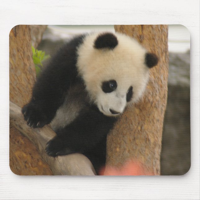 Tapis De Souris Ours panda géant Mousepad (Devant)