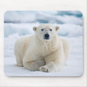 Tapis De Souris Ours polaire adulte sur la banquise estivale