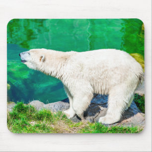 Tapis De Souris Ours polaire Mousepad